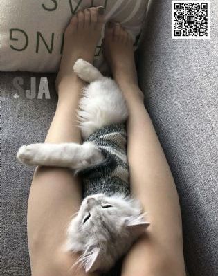 车位已满温馨提示_1080PHD在线观看
